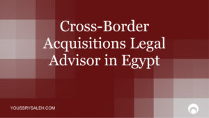 Need a legal advisor for a cross-border acquisition in Egypt? Learn how M&A counsel helps foreign buyers manage legal risk.
