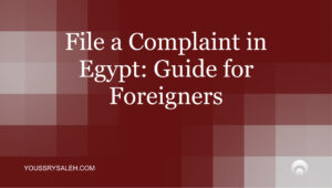 Need to file a complaint in Egypt as a foreigner? Learn which authority handles theft, consumer, wage and contract disputes. Act before you fly home.